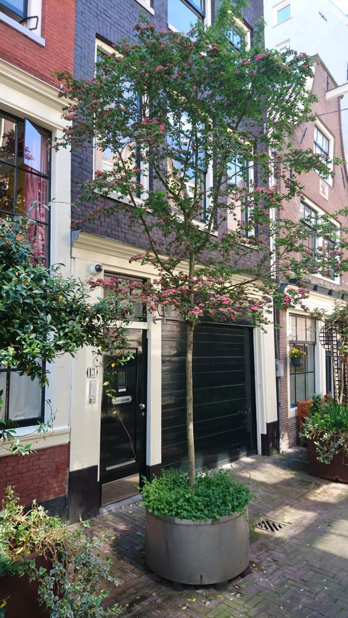 Huis Roomolen アムステルダム エクステリア 写真